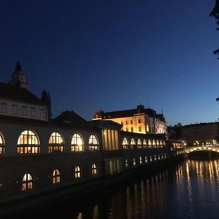 Apartment Central Station Between Dragon And Triple Bridges Ljubljana Bagian luar foto