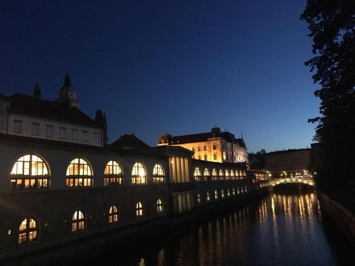 Apartment Central Station Between Dragon And Triple Bridges Ljubljana Bagian luar foto
