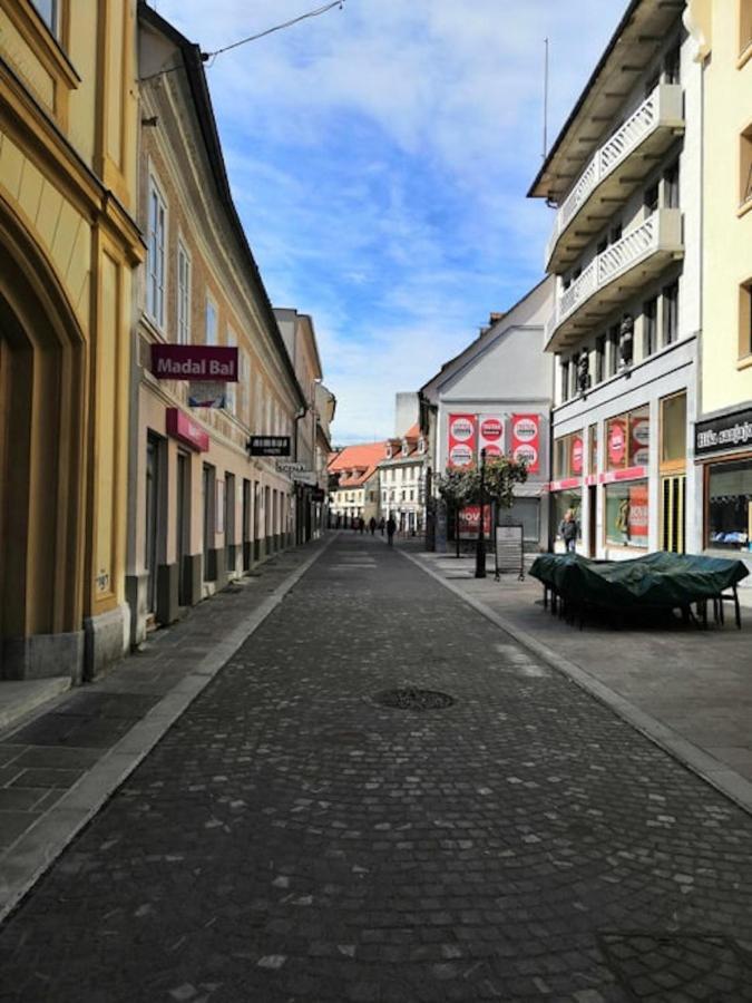 Apartment Central Station Between Dragon And Triple Bridges Ljubljana Bagian luar foto